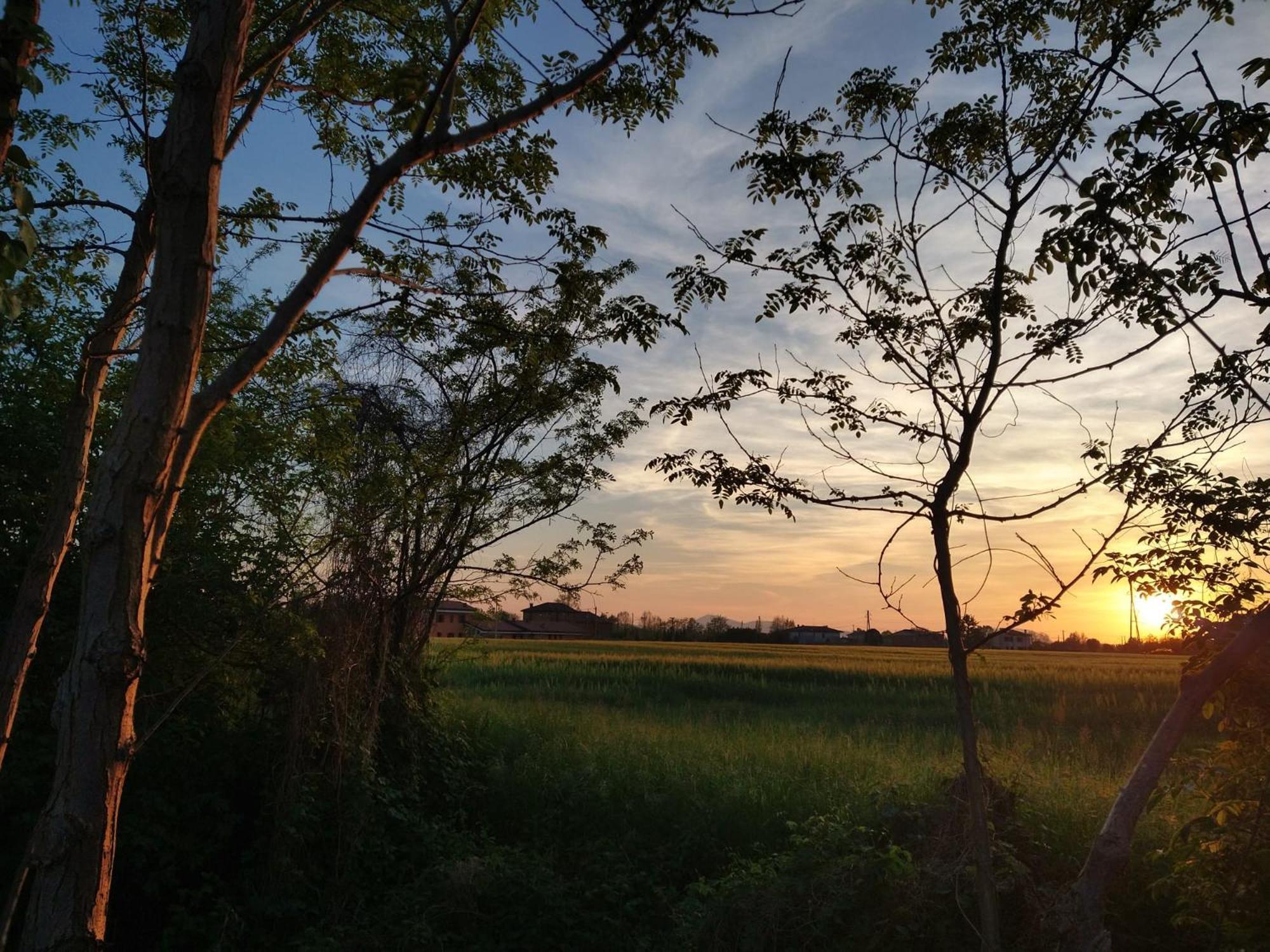 Agriturismo Verdecielo Padova Dış mekan fotoğraf