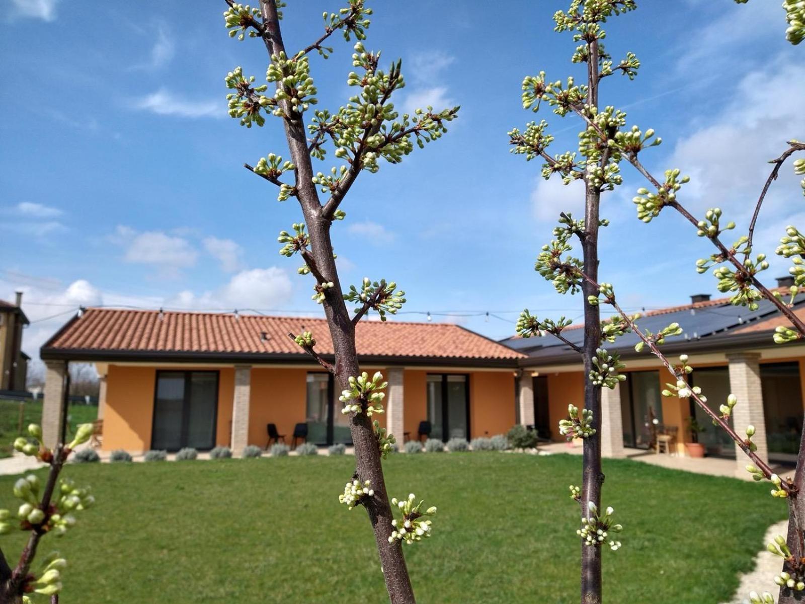 Agriturismo Verdecielo Padova Oda fotoğraf